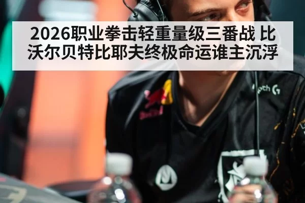 2026职业拳击轻重量级三番战 比沃尔贝特比耶夫终极命运谁主沉浮